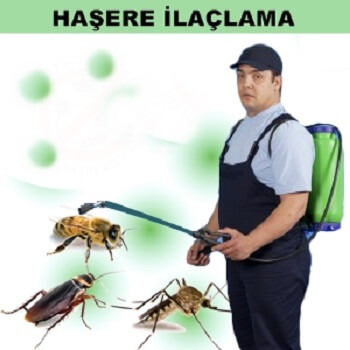 Vize Böcek İlaçlama